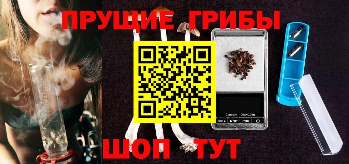 Галлюциногенные грибы Psilocybine cubensis  Вход с VPN  Губкинский 