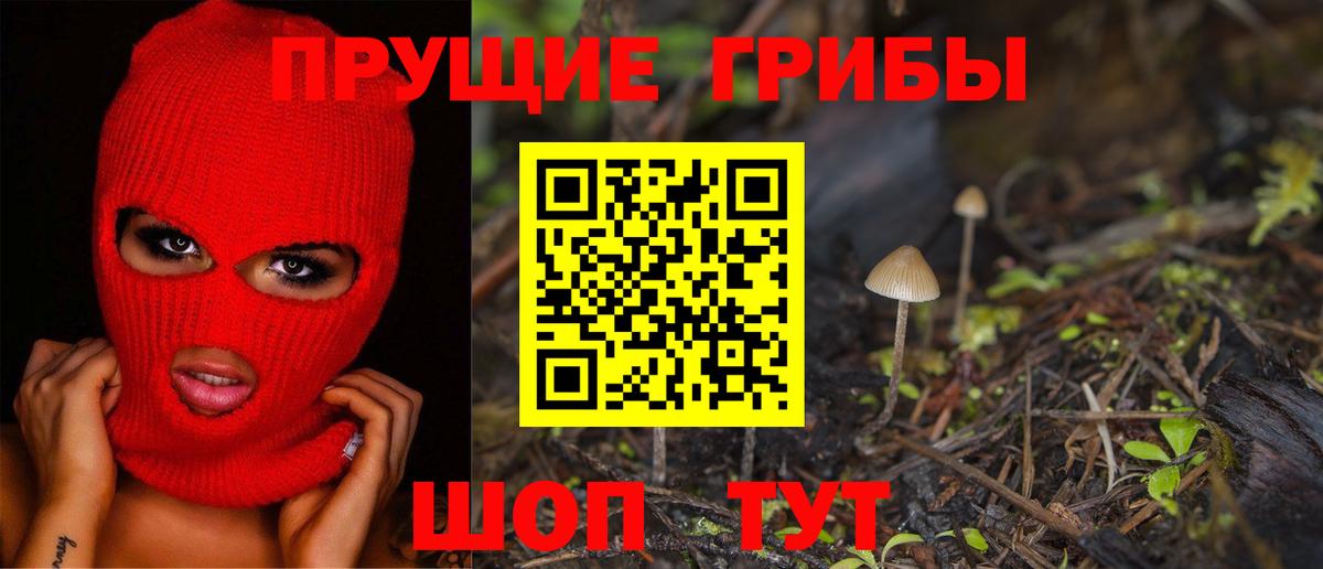 Псилоцибиновые грибы Psilocybe Губкинский